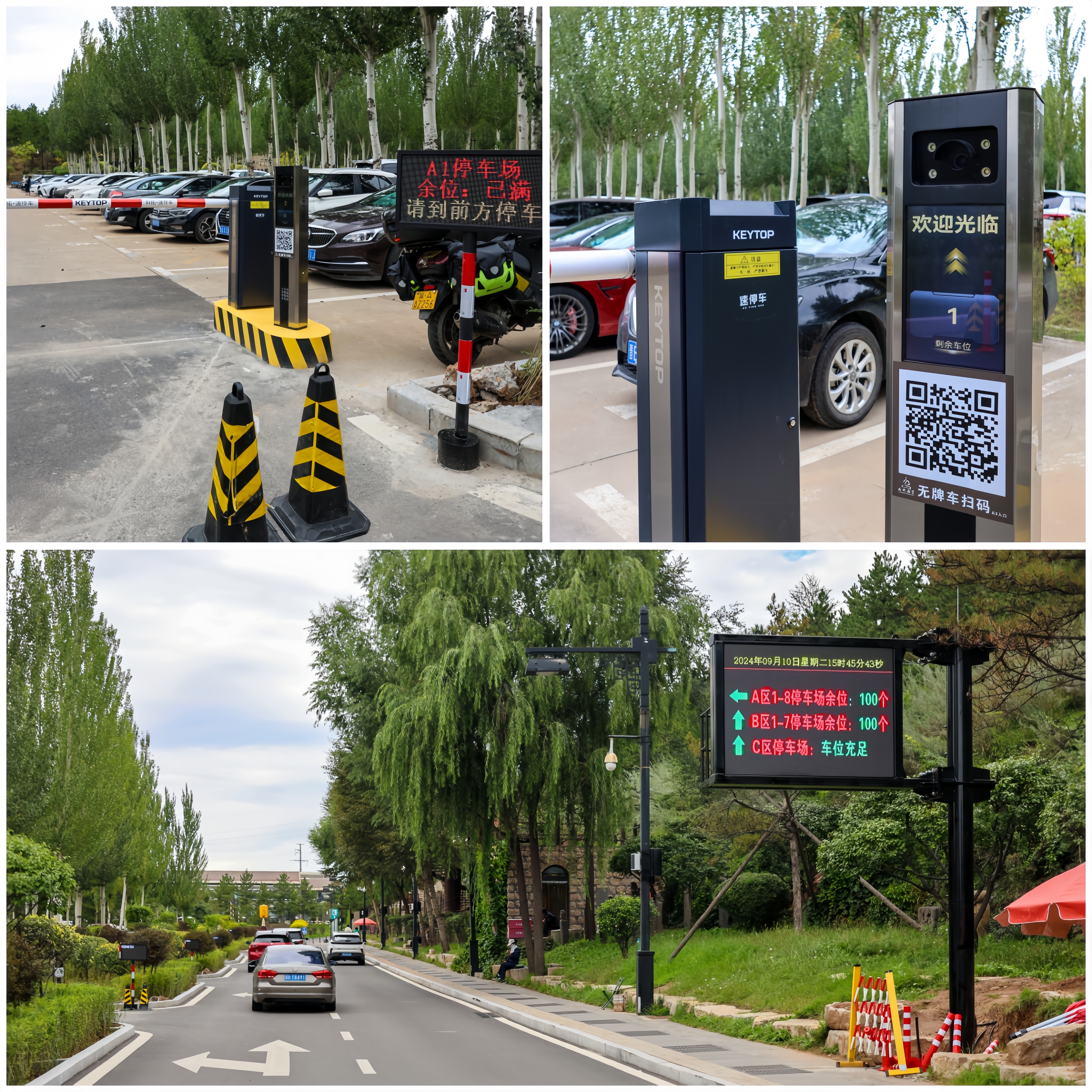 from clipboard from clipboard